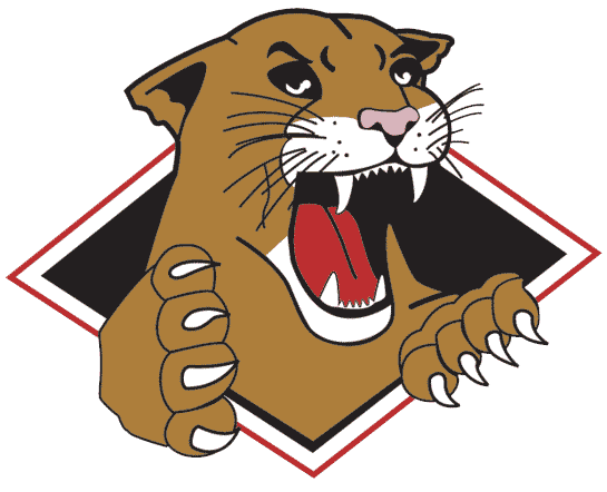 Prince George Cougars 2002 03-2007 08 Primary Logo vinyl decal